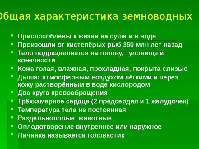 Общая характеристика земноводных Приспособлены к жизни на суше и в воде Произошли от кистепёрых рыб 350 млн лет назад Тело подразделяется на голову, туловище и конечности Кожа голая, влажная, прохладная, покрыта слизью Дышат атмосферным воздухом лёгкими и через кожу растворённым в воде кислородом Два круга кровообращения Трёхкамерное сердце (2 предсердия и 1 желудочек) Температура тела не постоянная Раздельнополые животные Оплодотворение внутреннее или наружное Личинка называется головастик 
