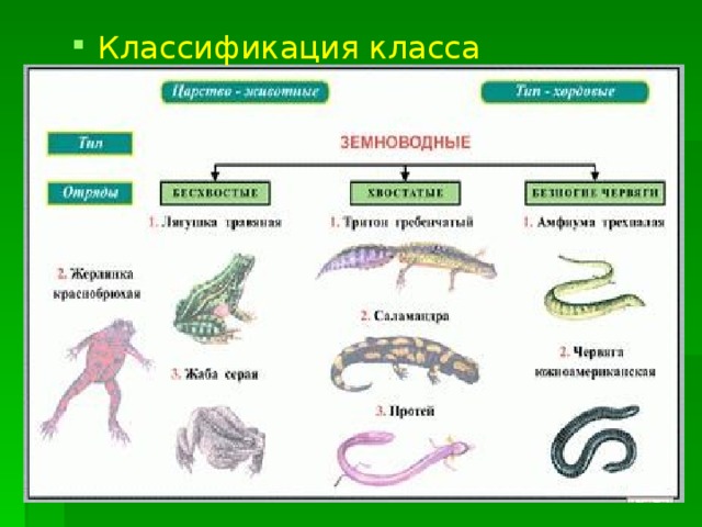 Классификация класса 