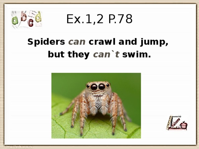 Ex.1,2 P.78 Spiders can crawl and jump, but they can`t swim. 