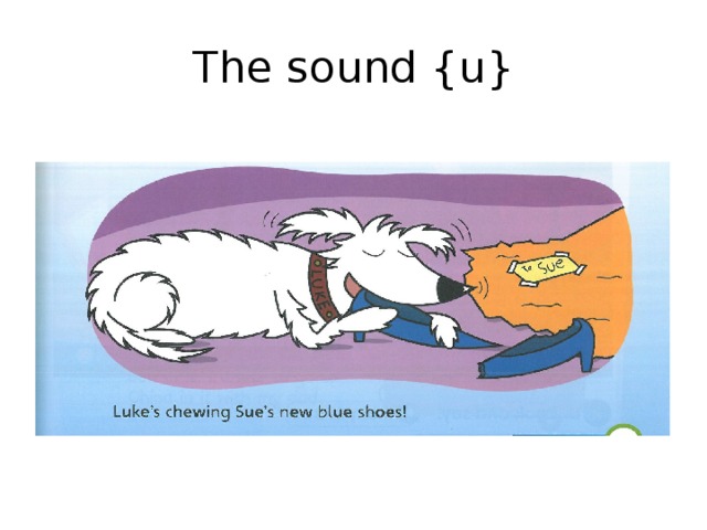 The sound {u} 