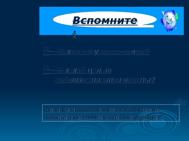 Вспомните: ?  Каковы функции листа? ? С какой целью видоизменяются органы? Органы видоизменяются для того, чтобы выполнять особые функции. 