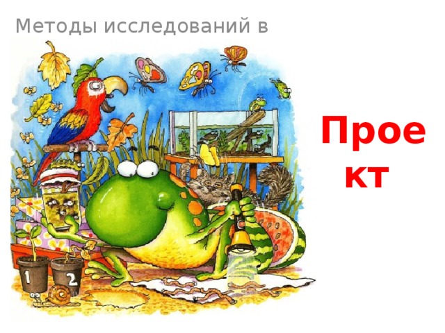 Методы исследований в биологии Проект 