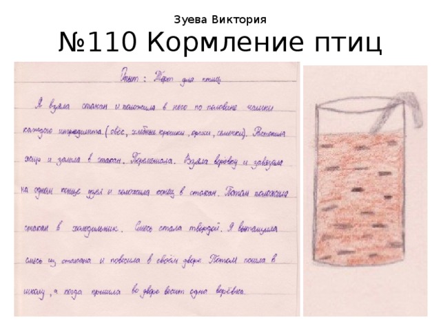 Зуева Виктория № 110 Кормление птиц 