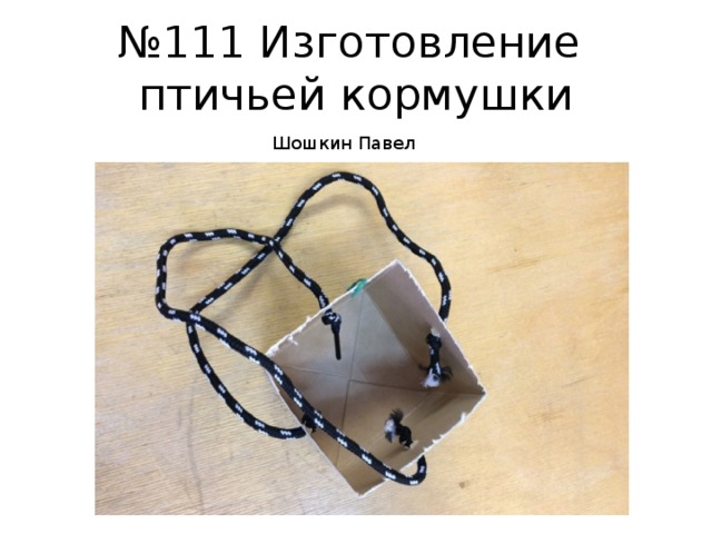 № 111 Изготовление  птичьей кормушки Шошкин Павел 