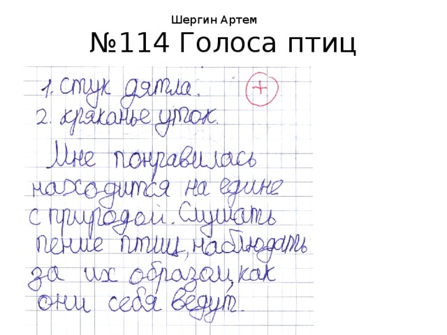 Шергин Артем № 114 Голоса птиц 