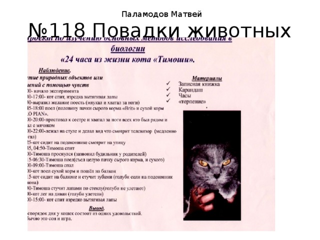 Паламодов Матвей № 118 Повадки животных 
