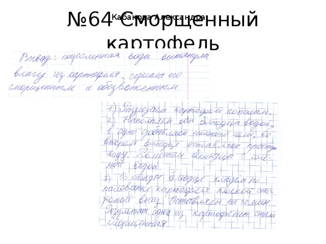 № 64 Сморщенный картофель Кабакова Александра 
