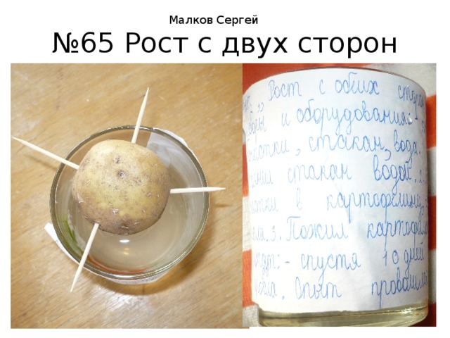 Малков Сергей № 65 Рост с двух сторон 