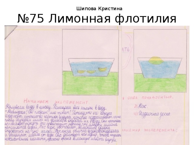 Шипова Кристина № 75 Лимонная флотилия 