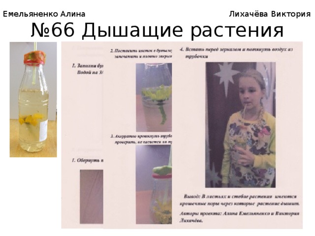 Емельяненко Алина Лихачёва Виктория № 66 Дышащие растения 