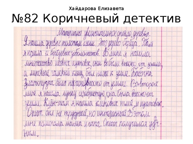 Хайдарова Елизавета № 82 Коричневый детектив 