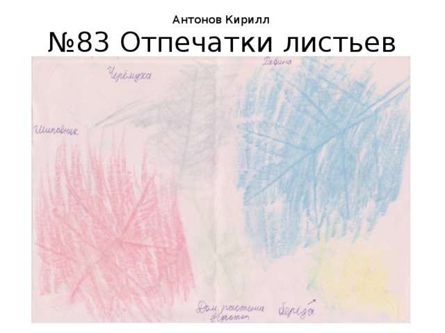 Антонов Кирилл № 83 Отпечатки листьев 