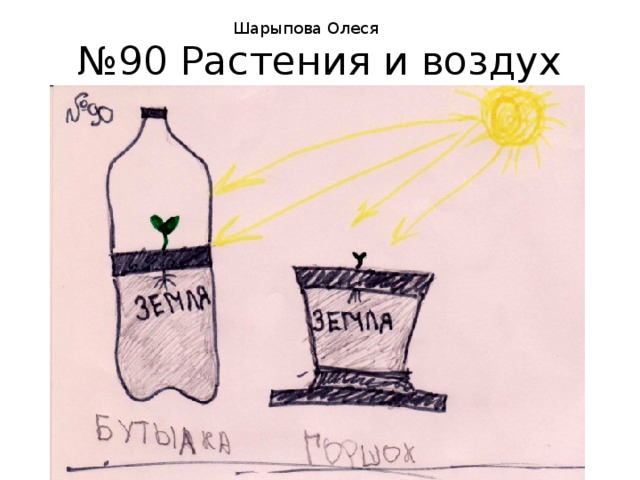Шарыпова Олеся № 90 Растения и воздух 