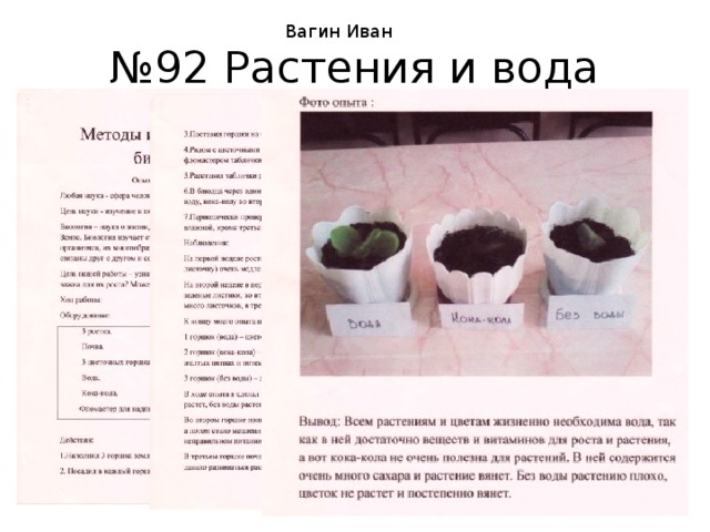 Вагин Иван № 92 Растения и вода 