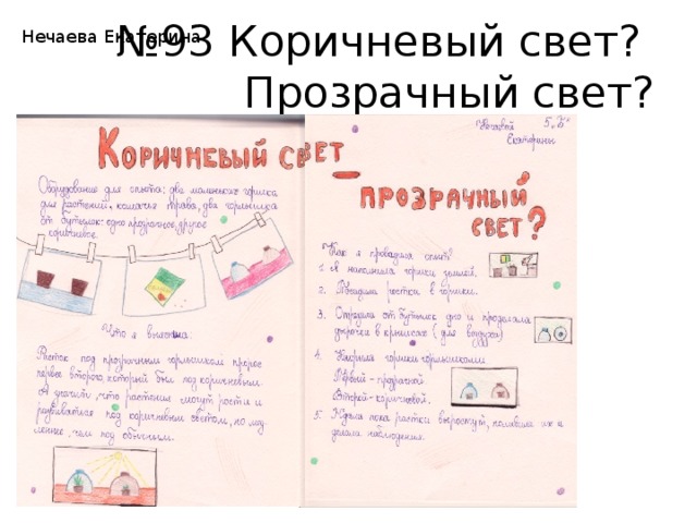 № 93 Коричневый свет?  Прозрачный свет? Нечаева Екатерина 