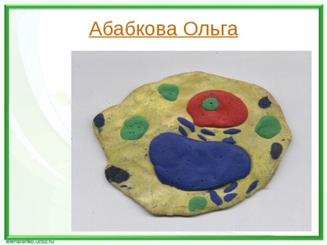Абабкова Ольга 