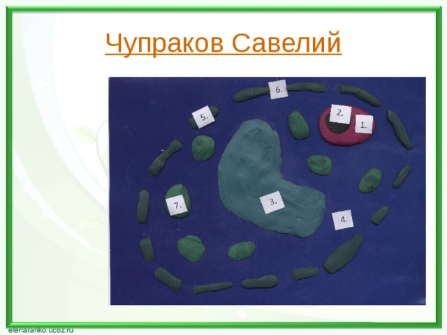 Чупраков Савелий 