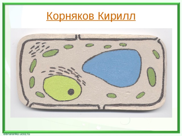 Корняков Кирилл 