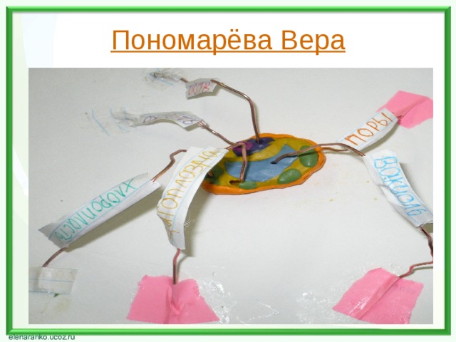 Пономарёва Вера 