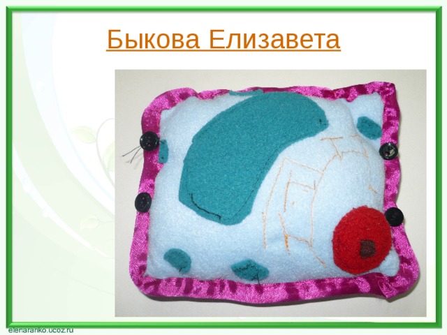 Быкова Елизавета 