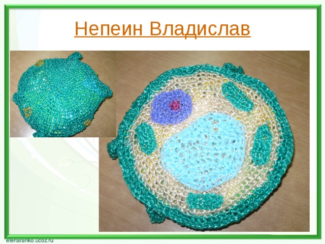 Непеин Владислав 