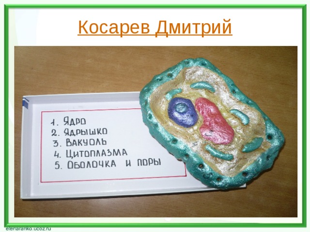 Косарев Дмитрий 