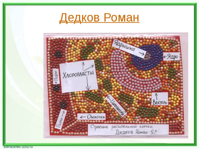 Дедков Роман 