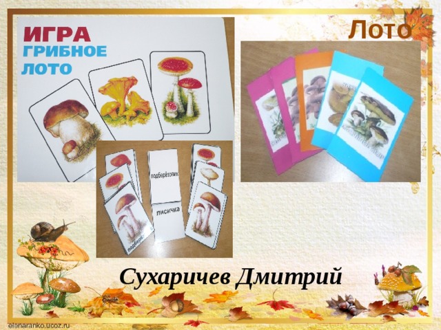 Лото Сухаричев Дмитрий 