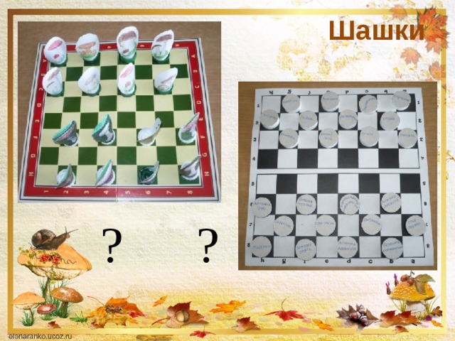 Шашки ? ? 