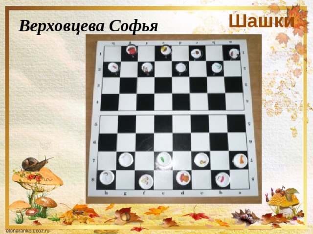 Шашки Верховцева Софья 