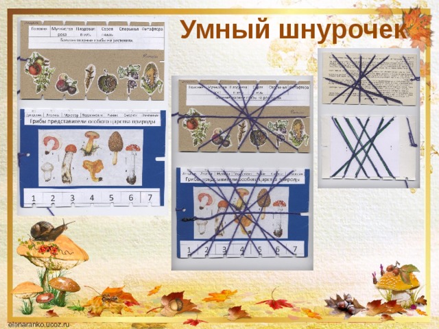 Умный шнурочек 