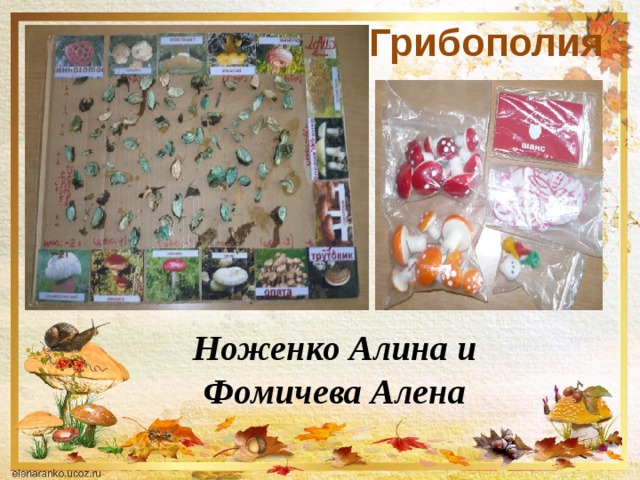 Грибополия Ноженко Алина и  Фомичева Алена 