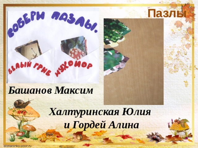 Пазлы Башанов Максим Халтуринская Юлия и Гордей Алина 
