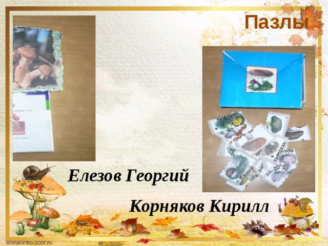 Пазлы Елезов Георгий Корняков Кирилл 