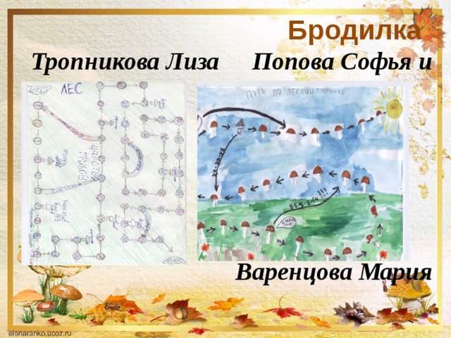    Тропникова Лиза   Бродилка Попова Софья и       Варенцова Мария 