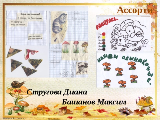 Ассорти Стругова Диана  Башанов Максим   