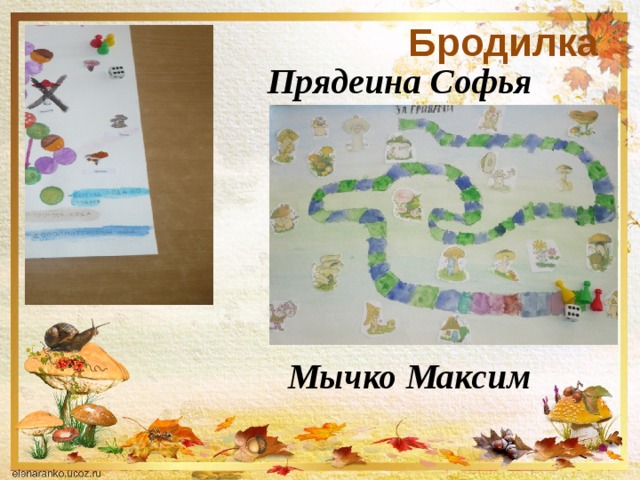 Бродилка Прядеина Софья Мычко Максим 