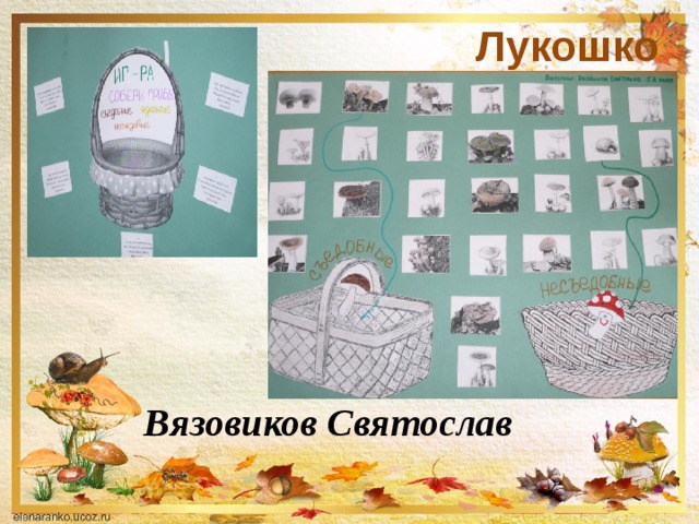  Лукошко Вязовиков Святослав 