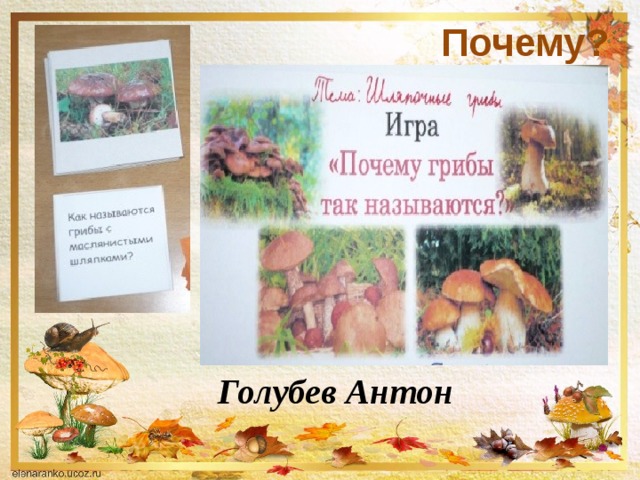 Почему? Голубев Антон 