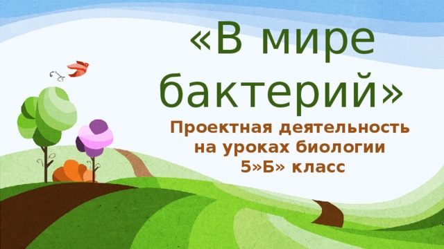 «В мире бактерий» Проектная деятельность на уроках биологии 5»Б» класс 