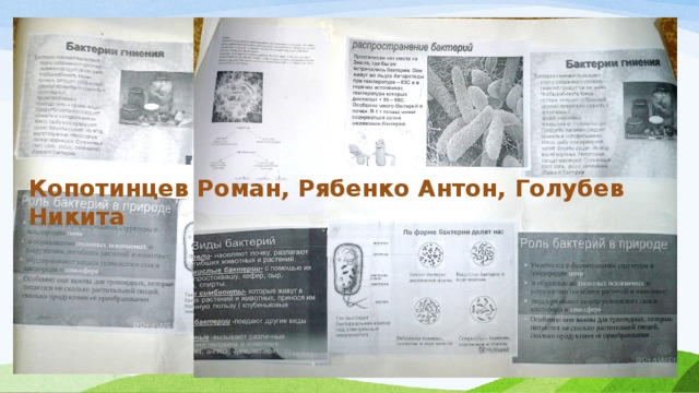 Копотинцев Роман, Рябенко Антон, Голубев Никита 