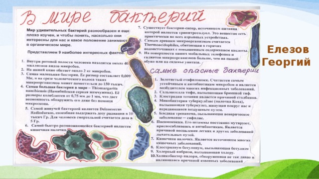 Елезов Георгий 