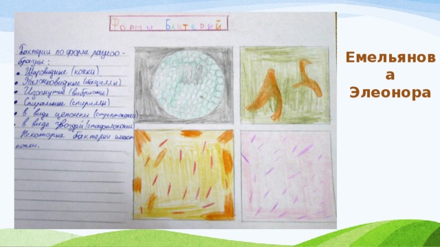 Емельянова Элеонора 