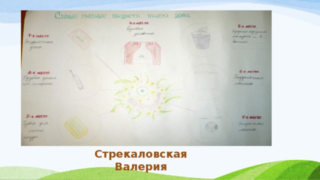 Стрекаловская Валерия 