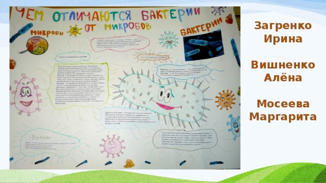 Загренко Ирина  Вишненко Алёна  Мосеева Маргарита 