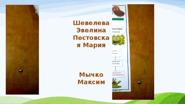 Шевелева Эвелина Пестовская Мария    Мычко Максим 
