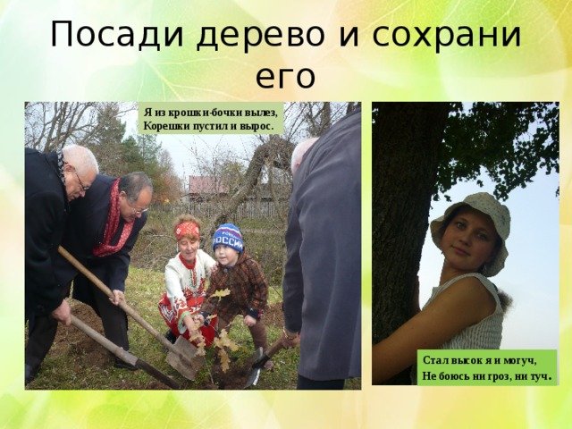 Посади дерево и сохрани его Я из крошки-бочки вылез, Корешки пустил и вырос. Стал высок я и могуч, Не боюсь ни гроз, ни туч . 