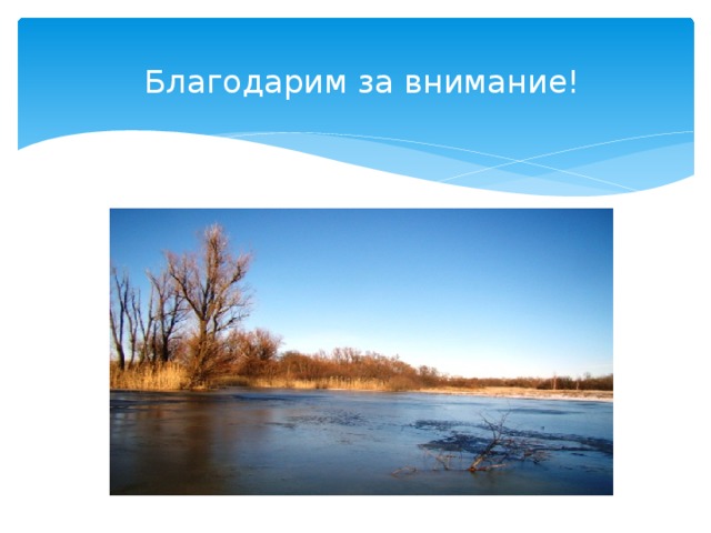  Благодарим за внимание! 