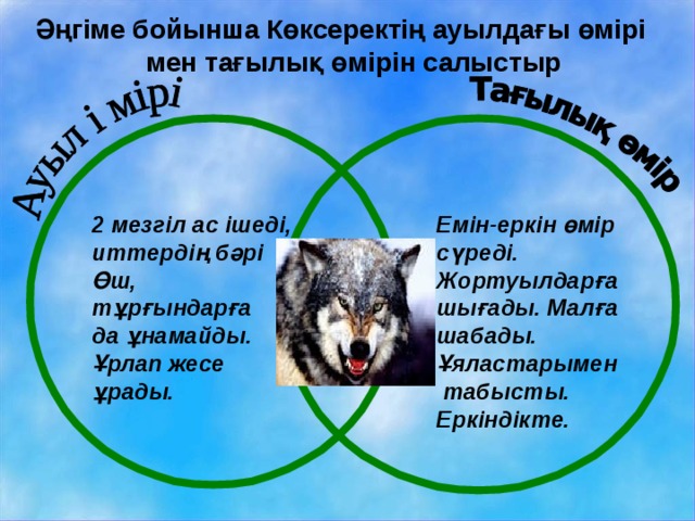 Әңгіме бойынша Көксеректің ауылдағы өмірі мен тағылық өмірін салыстыр Емін-еркін өмір сүреді. Жортуылдарға шығады. Малға шабады. Ұяластарымен  табысты. Еркіндікте. 2 мезгіл ас ішеді, иттердің бәрі Өш, тұрғындарға да ұнамайды. Ұрлап жесе ұрады. 