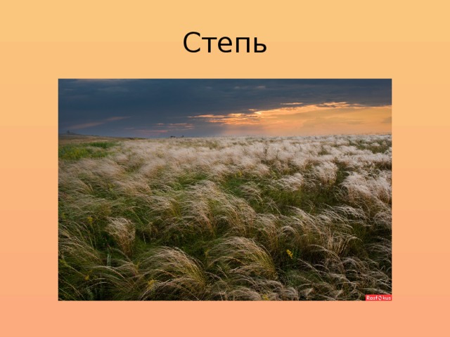 Степь 